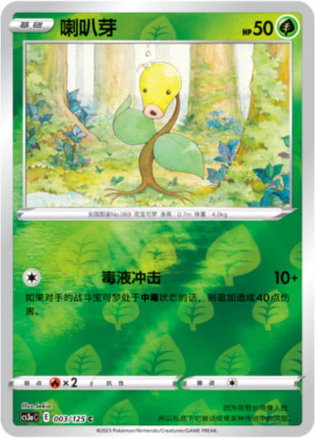マダツボミ